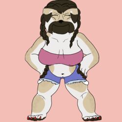  1:1 anthro bottomwear braided_hair canid canine canis claws clothing denim denim_clothing domestic_dog female fur hair hi_res mammal midriff molosser navel pug shorts simple_background slightly_chubby small_molosser solo tartaurus topwear toy_dog tube_top 