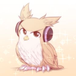  animal_focus animalization bird brown_eyes claws commentary_request earmuffs gradient_background kuroba_rapid looking_at_viewer no_humans orange_background owl sparkle touhou toyosatomimi_no_miko toyosatomimi_no_miko_(owl) 