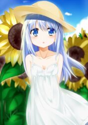  arms_behind_back blue_eyes blue_hair cacao_(chocolat) collarbone commentary_request day dress female flower gochuumon_wa_usagi_desu_ka? hair_ornament hairclip hat highres kafuu_chino long_hair outdoors solo sun_hat sundress sunflower upper_body white_dress 