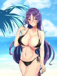  beach bikini black_bikini blush breasts cloud commentary_request day error_dot fate/grand_order fate_(series) female hair_between_eyes hair_ornament highres huge_breasts long_hair looking_at_viewer low-tied_long_hair minamoto_no_raikou_(fate) navel nose_blush ocean outdoors parted_lips purple_eyes purple_hair side-tie_bikini_bottom sky solo stomach swimsuit twirling_hair very_long_hair 