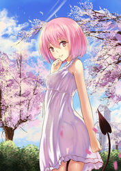  bad_id bad_pixiv_id blush breasts cherry_blossoms day demon_tail dress female highres looking_at_viewer momo_velia_deviluke outdoors park pink_eyes pink_hair short_hair sky small_breasts solo spring_(season) sundress tail to_love-ru to_love-ru_darkness tree yizhirenben 