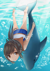  air_bubble bare_legs barefoot brown_eyes brown_hair bubble commentary_request diving dolphin female freediving highres holding_breath i-401_(kancolle) kantai_collection kiukoma photoshop_(medium) ponytail sailor_collar school_swimsuit short_hair smile swimming swimsuit swimsuit_under_clothes underwater 