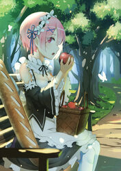  :o animal apple apron baguette bare_shoulders basket bench black_dress black_ribbon blue_ribbon blurry blush bread breasts bug butterfly cleavage cleavage_cutout clothing_cutout commentary_request dappled_sunlight day depth_of_field detached_sleeves dress eyes_visible_through_hair female food forest frilled_sleeves frills from_side fruit hair_ornament hair_over_one_eye hair_ribbon hairband hairclip highres holding holding_food holding_fruit long_sleeves looking_to_the_side lu&quot; maid medium_breasts nature open_mouth outdoors pantyhose path pink_eyes pink_hair plant profile ram_(re:zero) re:zero_kara_hajimeru_isekai_seikatsu ribbon ribbon-trimmed_sleeves ribbon_trim road roswaal_mansion_maid_uniform short_hair sitting sleeveless sleeveless_dress solo sunlight surprised tree waist_apron white_apron white_pantyhose wide_sleeves x_hair_ornament 