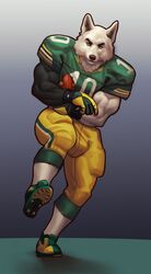  2014 american_football anthro arctic_wolf ball biceps big_bulge big_muscles biped black_nose blazingifrit bottomwear bulge canid canine canis cheek_tuft clothed clothing competition_number digital_media_(artwork) digital_painting_(artwork) eyebrows facial_tuft football_jersey football_player football_uniform footwear front_view fully_clothed fur fur_tuft gloves gradient_background green_bay_packers green_clothing green_eyes green_footwear green_gloves green_handwear green_topwear grey_background gridiron_ball handwear hi_res holding_ball holding_object isaiah_switzer jersey legwear looking_at_viewer male mammal muscular muscular_anthro muscular_male nfl number number_on_clothing number_on_jersey number_on_topwear number_print pants print_clothing print_jersey print_topwear running shaded shadow shirt shoes shorts simple_background socks soft_shading solo sport thigh_highs thigh_socks topwear triceps tuft uniform white_body white_clothing white_footwear white_fur white_legwear white_socks wolf yellow_bottomwear yellow_clothing yellow_eyes yellow_footwear yellow_gloves yellow_handwear yellow_pants 