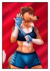  2019 5_fingers abananaman anthro athletic athletic_anthro athletic_female bandage blue_eyes border bottomwear boxing bra brown_body brown_fur brown_nose canid canine canis cheek_tuft claws clothing collie conditional_dnp domestic_dog eyebrows eyelashes facial_tuft female finger_claws fingers floppy_ears fur hand_wraps herding_dog hi_res mammal midriff navel neck_tuft pastoral_dog red_background rough_collie sheepdog shorts simple_background smile solo sport sports_bra stacy_(grimsilverfire) teeth tuft underwear white_border wraps 