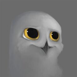  :| anthro avian beak big_pupils bird cheek_tuft digital_media_(artwork) dilated_pupils facial_tuft feathers front_view grey_background grey_body grey_feathers headshot_portrait horned_owl icon male nyar nyar_(character) owl portrait pupils reaction_image simple_background snowy_owl solo third-party_edit true_owl tuft wide_eyed yellow_eyes 