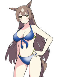  alternate_costume animal_ears bikini blue_bikini breasts brown_hair cleavage commentary cowboy_shot dao_ne-ii39ra42k-3-7 female front-tie_bikini_top front-tie_top hair_between_eyes half_up_braid hand_on_own_hip highres horse_ears horse_girl horse_tail large_breasts long_hair looking_at_viewer multicolored_hair navel satono_diamond_(umamusume) simple_background solo stomach streaked_hair swimsuit tail umamusume white_background white_hair yellow_eyes 