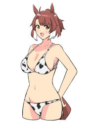  ahoge alternate_costume animal_ears animal_print bikini blush breasts brown_eyes brown_hair colored_tips commentary_request cow_print cow_print_bikini cowboy_shot cropped_legs dantsu_flame_(umamusume) dao_ne-ii39ra42k-3-7 female hair_between_eyes hands_on_own_hips highres horse_ears horse_girl horse_tail large_breasts looking_at_viewer medium_hair multicolored_hair navel open_mouth partial_commentary ponytail print_bikini simple_background smile solo stomach streaked_hair swimsuit tail umamusume white_background white_hair 