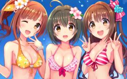  bikini breasts idolmaster idolmaster_cinderella_girls igarashi_kyouko kohinata_miho shimamura_uzuki swimsuit u_rin 