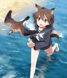  animal animal_ears bird blurry brave_witches brown_eyes brown_hair day depth_of_field female hair_ornament hairclip jpeg_artifacts karibuchi_hikari lossy-lossless open_mouth outdoors plover_(animal) running school_uniform serafuku shimada_fumikane shoes short_hair solo squirrel_ears squirrel_girl squirrel_tail tail water world_witches_series 