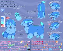  2019 blep blue_eyes canid canine electrike electrikestorm expression_sheet fan_character female feral fur generation_3_pokemon hi_res mammal model_sheet nintendo pawpads pokemon pokemon_(species) solo tongue tongue_out 