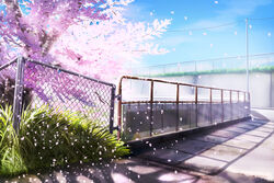  blue_sky cherry_blossoms cloud commentary_request day falling_petals fence grass hankachi_(okayama012) highres no_humans original outdoors petals plant power_lines scenery shade sky spring_(season) sunlight tree utility_pole 