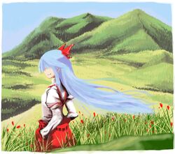  commentary_request day female field flower from_side fujiwara_no_mokou grass hair_over_eyes hands_in_pockets landscape long_hair mountain nature oekaki outdoors profile sky solo touhou tsukino wind 