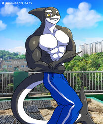  5:6 abs absurd_res alkan anthro big_chest big_pecs black_body bottomwear cetacean clothed clothing day detailed_background dolphin dovel english_text flexing grin hi_res looking_at_viewer male mammal marine muscular muscular_anthro muscular_male nipples oceanic_dolphin one_eye_closed orca outside pants pecs smile solo text toothed_whale topless topless_male wink yellow_eyes 