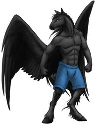  anthro birvan blue_clothing blue_swimwear clothing equid equine evion gaia male mammal mythological_creature mythological_equine mythology pegasus simple_background solo standing swimwear wings 