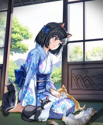  animal animal_ears barefoot black_hair blue_bow blue_kimono blue_sash blush bow breasts brown_eyes cat_ears cat_girl cat_tail closed_mouth commentary day feline female floral_print foliage full_body hairbow highres indoors japanese_clothes kimono long_sleeves looking_at_animal looking_down obi on_floor one_side_up orange_cat original popuru print_kimono sash seiza short_hair shouji sitting sliding_doors small_breasts smile solo striped_clothes striped_kimono sunlight symbol-only_commentary tabby_cat tail tatami tree tuxedo_cat vertical-striped_clothes vertical-striped_kimono wide_sleeves 