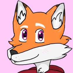  1:1 anthro blush canid canine clothing desthefemboy fox fur heart_eyes heart_symbol hi_res hoodie male mammal orange_body orange_fur pink_background purple_eyes red_clothing red_hoodie red_topwear simple_background solo topwear white_body white_fur 