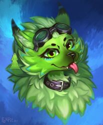  absurd_res anthro black_collar black_nose blep canid canine canis collar digital_media_(artwork) ear_piercing ear_tag fangs feral fluffy foxpit fur green_body green_eyes green_fur green_hair hair headshot_portrait helzie hi_res hybrid inner_ear_fluff looking_at_viewer male mammal piercing pink_tongue portrait simple_background smile solo teeth tongue tongue_out tuft 