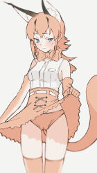  absurdres animal_ear_fluff animal_ears blue_eyes blush bow caracal_(kemono_friends) closed_mouth clothes_lift clothes_pull elbow_gloves enoki_art extra_ears female gloves highres kemono_friends looking_at_viewer orange_hair orange_panties panties shirt short_hair simple_background skirt skirt_lift skirt_pull sleeveless sleeveless_shirt solo standing sweatdrop tail underwear white_shirt 