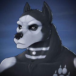  1:1 2019 anthro black_body black_fur canid canine canis foxyghost fur headshot_portrait hi_res icon looking_at_viewer male mammal portrait simple_background solo spookywolfie three-quarter_portrait white_body white_fur wolf 