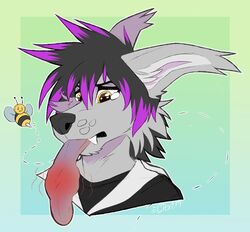  2019 arthropod bee bee_sting black_hair black_nose bodily_fluids canid canine citrinelle digital_media_(artwork) fur grey_body grey_fur hair hymenopteran insects lance_(radiantblaze) long_tongue mammal pain simple_background tears tongue tongue_out 