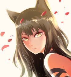  animal_ears arm_ribbon bad_id bad_pixiv_id black_hair blake_belladonna bow cat_ears cat_girl closed_mouth eyelashes female hayadai highres light_particles lips long_hair looking_at_viewer petals portrait ribbon rwby slit_pupils solo spoilers three_quarter_view yellow_eyes 