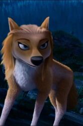  alpha_and_omega blue_eyes canid canine canis female feral lionsgate mammal sweets_(character) wolf 