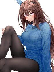  admire_vega_(umamusume) alternate_costume animal_ears black_pantyhose blue_sweater blush breasts brown_hair closed_mouth commentary_request ear_covers female hair_between_eyes hair_down horse_ears horse_girl horse_tail knee_up long_hair long_sleeves looking_at_viewer medium_breasts pantyhose purple_eyes red_hayao simple_background single_ear_cover smile solo sweater tail umamusume white_background 