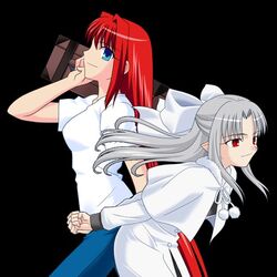  aozaki_aoko tagme tsukihime white_len 