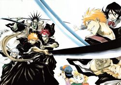  abarai_renji bleach hitsugaya_toushirou kuchiki_rukia kurosaki_ichigo kurosaki_karin kurosaki_yuzu zaraki_kenpachi 