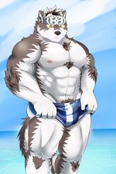  2017 abs accessory anthro biceps canid canine canis clothing dragon0324r fur headband hi_res horkeu_kamui_(tas) kemono lifewonders male mammal multicolored_body multicolored_fur muscular muscular_anthro muscular_male nipples pecs simple_background solo swimwear tokyo_afterschool_summoners white_body white_fur wolf 