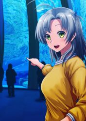  3others absurdres alternate_costume aquarium commentary_request female green_eyes grey_hair hair_tie highres indoors kantai_collection kinugasa_(kancolle) long_sleeves multiple_others one_side_up open_mouth pointing remodel_(kantai_collection) smile sosser sweater teeth upper_body upper_teeth_only yellow_sweater 