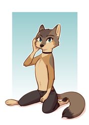  2019 ambiguous_gender anthro arm_tuft barefoot biped blue_background border bottomwear canid canine cheek_tuft chest_tuft choker clothed clothing dipstick_ears dipstick_tail ear_markings ear_piercing ear_stud elbow_tuft facial_tuft feet fox fuel_(artist) gloves_(marking) gradient_background head_tuft hi_res jewelry kneeling looking_at_viewer mammal markings multicolored_ears multicolored_tail necklace pants pawpads piercing simple_background solo swift_fox tail tail_markings taylor_(fuel) teal_eyes true_fox tuft white_background white_border 