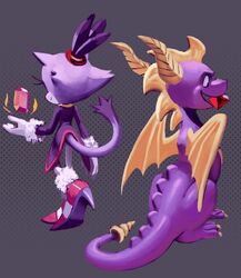  activision anthro blaze_the_cat clothing crossover dipstick_tail dragon duo felid feline female fur gem gloves handwear hi_res knockabiller male mammal markings membrane_(anatomy) membranous_wings multicolored_tail mythological_creature mythological_scalie mythology purple_body purple_fur purple_tail_tip scalie sega sonic_the_hedgehog_(series) spyro spyro_the_dragon tail tail_markings wings 