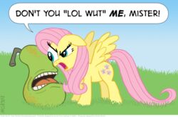 2011 biting_pear_of_salamanca cutie_mark dialogue duo elemental_creature english_text equid equine feathered_wings feathers female feral flora_fauna fluttershy_(mlp) food food_creature friendship_is_magic fruit hasbro kinkyturtle living_fruit lol_wut low_res mammal my_little_pony mythological_creature mythological_equine mythology pear pegasus plant quadruped reaction_image stare tail text the_stare wings yellow_body yellow_feathers