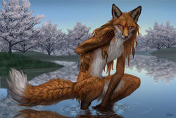 2011 ambiguous_gender anthro arm_on_leg arm_on_thigh arms_bent bathing bent_legs black_lips black_nose brown_body brown_fur canid canine collaboration crouching crouching_in_water day detailed detailed_background detailed_fur digitigrade facial_markings feet_in_water forest forest_background fox fur glistening gloves_(marking) grass hair hand_between_legs hand_in_water head_markings humanoid_hands inner_ear_fluff leg_markings lips long_mouth looking_at_viewer mammal markings myenia nature nature_background nude orange_body orange_fur orange_hair outside partially_submerged photorealism plant pond purple_eyes red_markings reflection river shallow_water sky snout socks_(marking) solo sullivan tail tree tuft water water_reflection water_ripple wet whiskers white_body white_fur