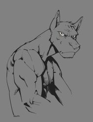 angry anthro biceps brown_eyes grey_theme hi_res humanoid_pointy_ears kangaroo macropod male mammal marsupial muscular muscular_anthro muscular_male nipples nude pose sketch snout solo superslickslasher