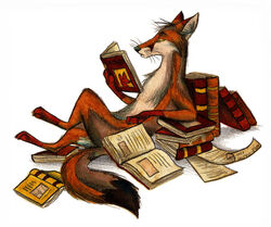 2011 ambiguous_gender book canid canine culpeofox feral fox holding_book holding_object mammal reading simple_background solo tail white_background