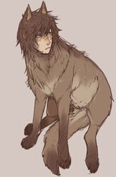 2012 abstract_background brown_body brown_fur brown_hair canid canine canis digitigrade fur grey_background hair human male mammal quadruped rainbow_(artist) simple_background solo tail wolf