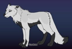 2012 black_body black_fur black_nose canid canine canis digitigrade dipstick_tail female feral fur hair mammal markings paws quadruped solo tail tail_markings white_body white_fur wolf wyndbain