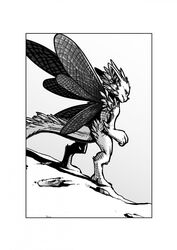 2012 9_6 ambiguous_gender anthro arthropod biped black_and_white border dragon hi_res hybrid insect_wings insects monochrome mythological_creature mythological_scalie mythology scalie solo standing tail white_border wings