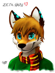 2013 3:4 anthro black_nose blue_eyes brown_hair canid canine clothed clothing countershading digital_media_(artwork) fox fur hair heart_symbol lan_(zeta-haru) male mammal mytigertail orange_body orange_fur scarf shirt simple_background smile solo topwear white_background white_body white_fur