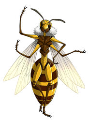 ambiguous_gender antennae_(anatomy) arthropod arthropod_abdomen compound_eyes daisuke fur hi_res hymenopteran insect_wings insects multi_limb simple_background solo wasp white_background wings