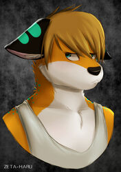 anthro biped black_nose blue_markings brown_hair bust_portrait canid canine clothing countershade_face countershade_torso countershading digital_media_(artwork) ears_down fox front_view fur green_markings grey_background grumpy hair lan_(zeta-haru) male mammal markings orange_body orange_fur pivoted_ears portrait shirt simple_background solo tank_top teal_eyes textured_background three-quarter_view topwear white_body white_clothing white_countershading white_topwear zeta-haru