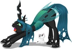 alpha_channel arthropod blue_hair changeling crown domestic_cat duo fangs felid feline felis female feral friendship_is_magic hair hasbro headgear hollowzero horn insect_wings long_hair mammal my_little_pony open_mouth pupils queen queen_chrysalis_(mlp) royalty simple_background slit_pupils stretching teeth tongue transparent_background wings