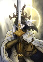  absurd_res anthro antlers brown_hair cape clothing digital_drawing_(artwork) digital_media_(artwork) elden_ring fantasy fromsoftware gold_(metal) hair hi_res horn jackalope lagomorph magic male male/male mammal medieval medieval_armor melee_weapon simpleesteban solo sword video_game_reference weapon 