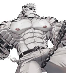  ! 1boy abs absurdres adkt animal_ears arknights bara belt black_belt brass_knuckles bulge chains clenched_hands english_commentary furry furry_male highres holding holding_weapon male_focus mountain_(arknights) muscular muscular_male navel nipples pants pectorals scar scar_on_arm scar_on_hand scar_on_shoulder sweatdrop tail tiger_boy tiger_ears tiger_stripes topless_male weapon white_background white_pants 