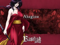  akeginu basilisk kimono tagme wallpaper 