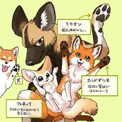  1:1 african_wild_dog ambiguous_gender ayaka black_body black_fur canid canine canis countershading domestic_dog fangs fennec_fox feral fluffy fluffy_tail fox fur gesture green_background group japanese_text larger_feral looking_at_viewer mammal orange_body orange_fur pawpads paws shiba_inu simple_background size_difference smaller_feral smile spitz tail tan_body tan_fur teeth text tongue tongue_out translation_check translation_request true_fox waving waving_at_viewer white_body white_fur 