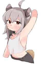  ahoge animal_collar animal_ears arm_up armpits bandaid bandaid_on_cheek bandaid_on_face bare_shoulders black_collar black_shorts blush borrowed_character brown_eyes closed_mouth collar commentary crop_top cropped_arms cropped_torso english_commentary female grey_hair hair_between_eyes long_hair looking_at_viewer low-cut_armhole macci_(opossumachine) midriff mixed-language_commentary nakajima_lupus navel original paid_reward_available possum_ears possum_tail presenting_armpit shorts simple_background smile solo sweat tail tank_top tareme upper_body watermark white_background white_tank_top 